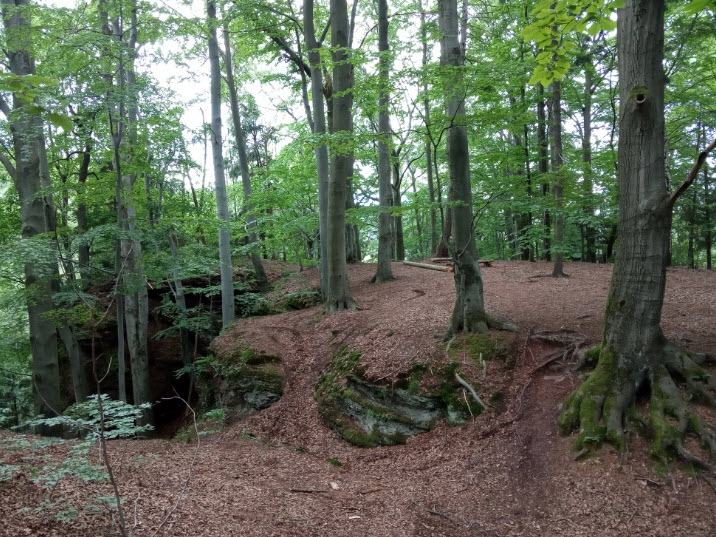 Zřícenina Hradu Rechenburk, Czech Republic (Czechia)